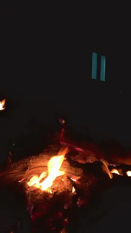 #الشيخ_العلامة_صالح_فوزان_الفوزان 