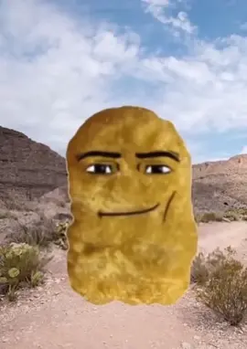 #gedagedigedagedaoh #nuggets #brainrot #fyp 