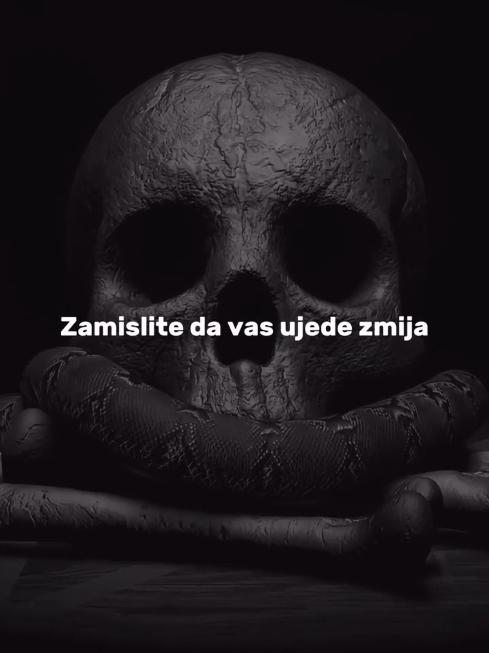 Naučite da idete dalje! #Eyp #Snake #Zmija #Motivation #Motivacija 