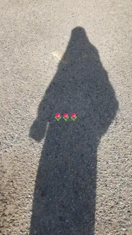 #نقاب #حجاب #fyp #foryoupage #fypシ゚ #walking 