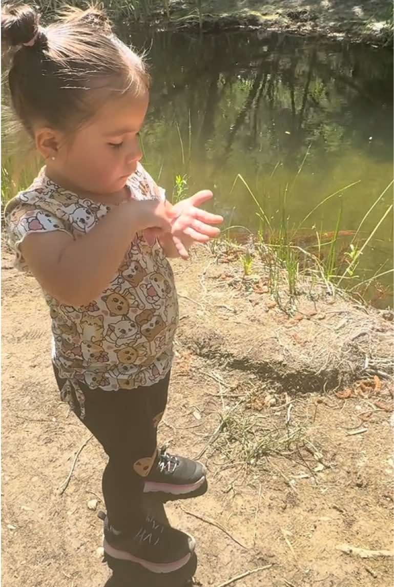 Respuesta a @hugoflores7279    Piru Creek. Castaic, California.   Forest Route 7N23. Angeles National Forest.   Picnic, Fishing, hiking 🥾, off Road.   #answer #question #respuesta #pregunta #viajando_ala_naturaleza #outdoor #fishing #picnic #Hiking #hikingadventures #offroad #pirucreek #piru #castaic #forest #forestroute #7n23 #angelesnationalforest 