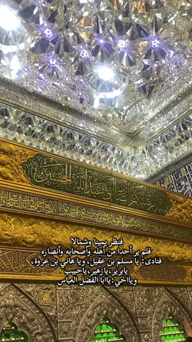 #تصويري #ياحسين #العتبه_الحسينيه_المقدسه #مهدي_سماواتي #اصحاب_الحسين #اكسبلووووورررر #حسين #حسينيون #fyp #العراق #foryou #تصميمي #تصميم_فيديوهات🎶🎤🎬 #اللهم_صل_على_محمد_وآل_محمد #اللهم_عجل_لوليك_الفرج #حزين #ابا_الفضل_العباس #ياعباس #الشعب_الصيني_ماله_حل😂😂 #مالي_خلق_احط_هاشتاقات #ياعلي 