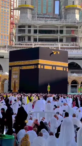 #رحمك_الله_يا_فقيد_قلبي😭💔 #دعوه لأبي 