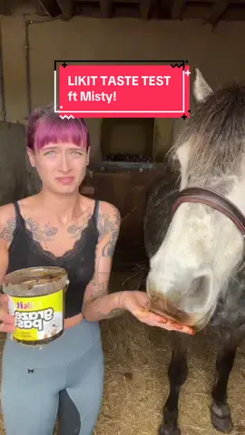 MISTY. DOESNT. SHARE. FOOD.  @HORZEHOODS LTD 😍🫶🏼 #horse #equine #equestrian #horseriding #horsetok #horsegirl #horsesoftiktok #equestrianvibes #equestriantiktok #fyp #foryou #abcxyz  