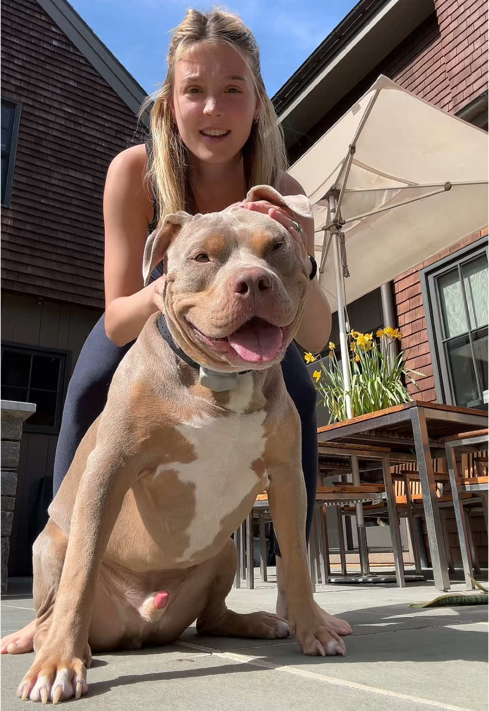 he enjoyed this a little too much #pitbullsoftiktok 
