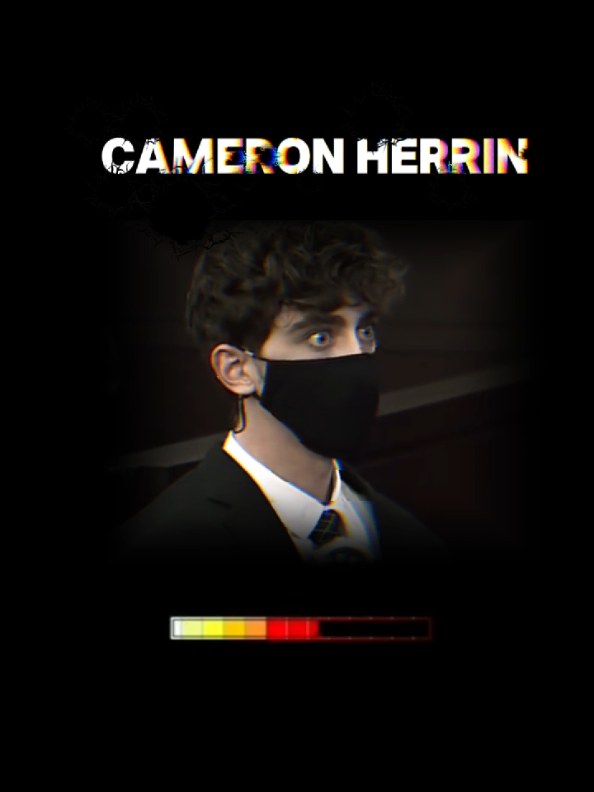 the story of Cameron Herrin #cameronherrin #horrortok #scary #analoghorror #truestory 