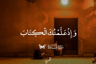 🦩| هتعيده مره واتنين و تلاته و عشره من حلاوته ♥️📻 . . . . #قرأن #quran #عبدالباسط_عبدالصمد 