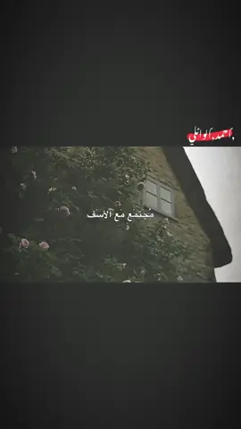 مجتمع مع الأسف 90بالمئه منه ذئاب 💔🥺#الشيخ_احمد_الوائلي #الشيخ_علي_المياحي #قران #عبدالرحمن_مسعد #اكسبلور_explore 
