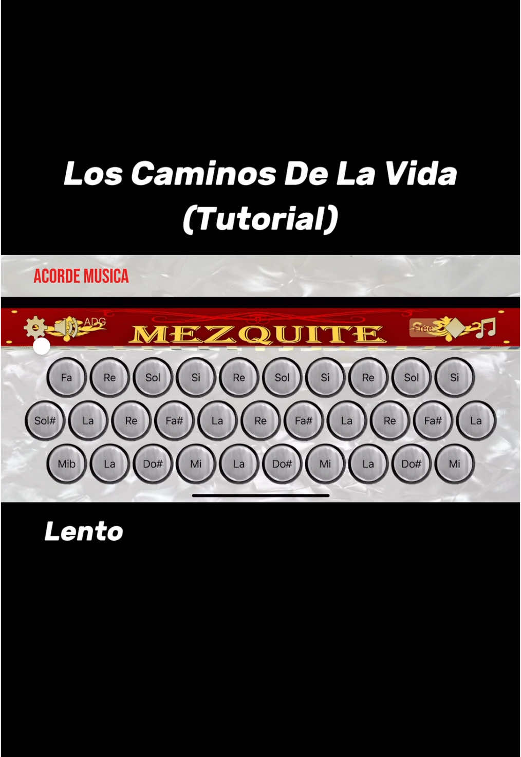 #mezquite #acordeon #tutorial #loscaminosdelavida #musica#facil 