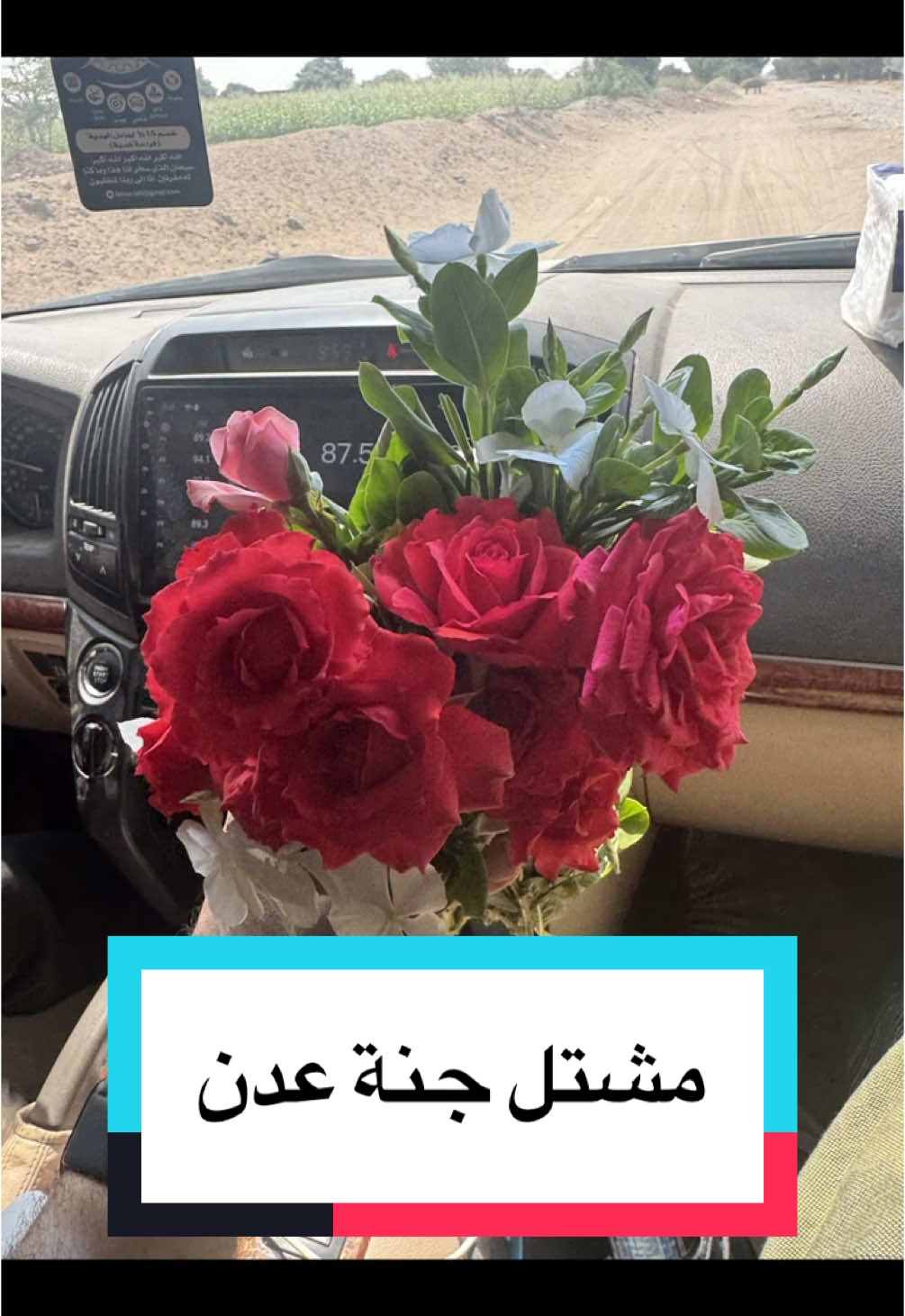 تأسيس اول مشتل في عدن للورود واشجار الزينة والظليات #عدن 