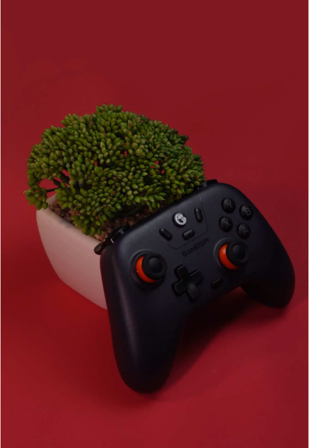 🎮 O controle Hall Effect mais barato do Aliexpress, presta? Esse é o Gamesir T4 Nova Lite, um gamepad sem fio e sem delay BARATÍSSIMO. Cupons de desconto Aliexpress funcionando:  【IFPYKDJ】-$1 em compras acima de $9  【IFPLYPY】-$2 em compras acima de $19 【IFPCFYL】-$5 em compras acima de $39 【IFPNHVD】-$10 em compras acima de $79 【IFP86TJ】-$20 em compras acima de $159 【IFPGXDG】-$35 em compras acima de $269 【IFPH2IC】-$50 em compras acima de $369 【IFPFL1R】-$70 em compras acima de $499 【IFPECKO】-$90 em compras acima de $500 #Rickwtf #fy #techtokbrazil #aliexpressinfluencerprogram #aliexpressinfluencer #aliexpressgoodfinds #aliexpresshaul #Controle #gamepad #Gamesir #Semfio #Wireless #Custobeneficio #Gamer #CS2 #Valorant 