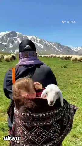 #متابعین 