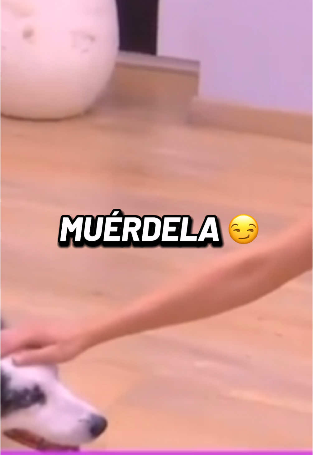 JAJAJAJAJAJAJAKAKAKK #lacasadelosfamosos #lacasadelosfamososcolombia🇨🇴 #lacasadelosfamososmexico #paratiiiiiiiiiiiiiiiiiiiiiiiiiiiiiii #emirodela38 #karinagarciaoficiall #emironavarro #fypシ゚ #viral #fypp #fyp #lacasadelosfamososcol ##karina #paratii #eeuu #lcdlf #melissagate 