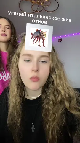 я знаю всех…. #italianbrainrotanimals #italianbrainrot 