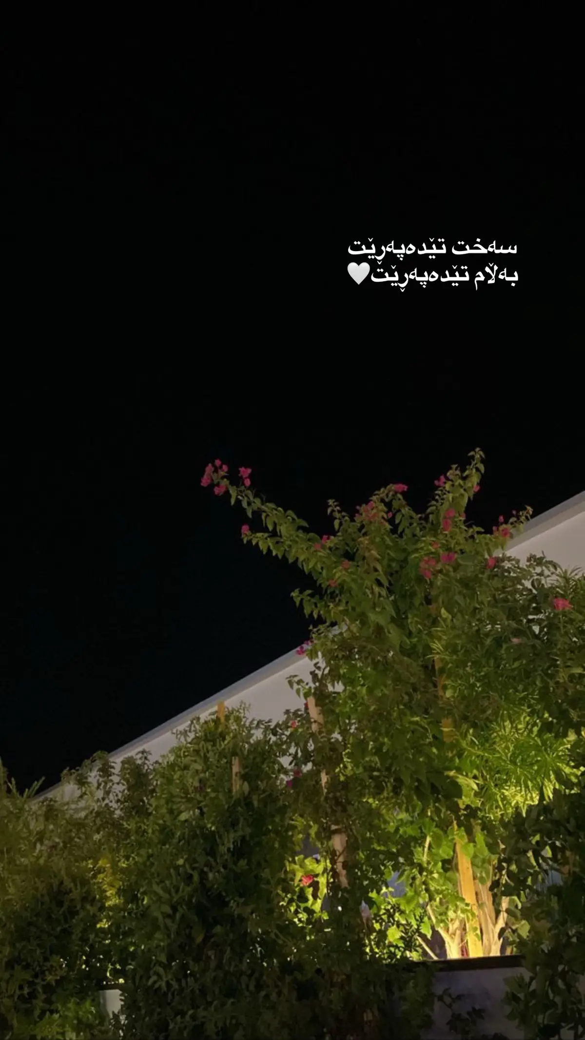 #foryoupage #foryou #explore #actev #tiktok 