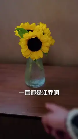 #流量 #短剧 #热门 #短劇 #因为一个片段看了整部剧 