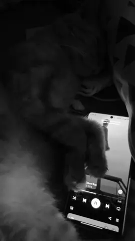 #aboutyou #the1975 #fyp 