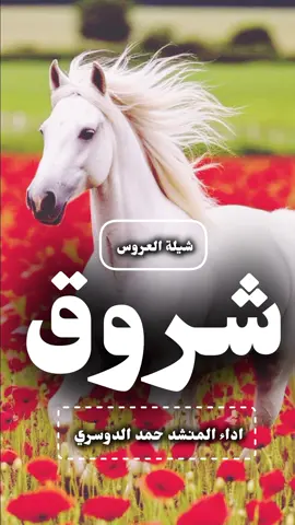 شيلة شروق اداء حمد الدوسري  #استديو_افنان_لتنفيذ_ #الشيلات_والزفات_ #والقصائد_الشعريه_ #لجميع_المناسبات_ #شيلات_عريس_ #شيلات_عروس_ #شيلات_ترحيب_بالضيوف_ #شيلات_مدح_حماسيه_ #شيلات_مهنا_العتيبي_ #شيلات_بندر_الذرفي_ #شيلات_ملكه_حماسيه_ #شيلات_عقد_قران_ #شيلات_مولوده_ #شيلات_مولود_ #شيلات_عز_السعود_ #شيلات_فهاد_العلي_ #شيلات_سعد_محسن_ #شيلات_هاني_الذيابي_ #استديو_افنان_لتنفيذ_الشيلات_ #شيلات_تخرج_مهندس_ #شيلات_خروج_من_السجن_ #شيلات_تخرج_بنات_ #شيلات_تخرج_ولد_ #شيلات_تخرج_ملازم_ #شيلات_تخرج_محامي_ #شيلات_تخرج_محاميه_ #استديو_انغام_الفن_ #شيلات_2025_ #شيلات_رقص_ #شيلات_تقاعد_ #شيلات_فواز_العنزي_ #شيلات_قايد_الوبيري_ #شيلات_احمد_الرجعان_ 