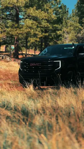 Some trucks don’t need an intro, you let the truck do the talking.. Come to oxendale GMC and test drive the 2025 Sierra 1500 😮‍💨 #trucksoftiktok #gmcsierra #gmc #fyp 