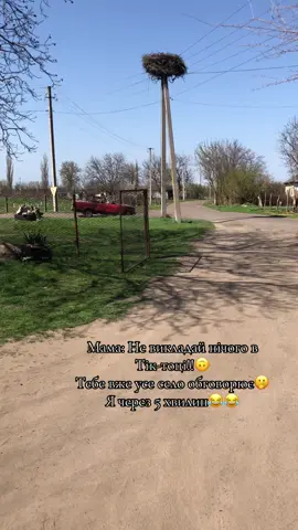 #рекомендации #🤫🤫🤫