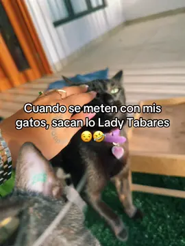 Y en otras ocasiones, sacan lo Lady 🌹 kkkk 🔪🌚 #foryoupage #fyppppppppppppppppppppppp  #cat #catsoftiktok 