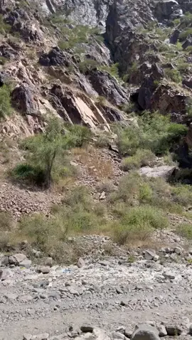 #رحلات #قنص #وبران #تصوير #تصويري #رحلات_برية #كشتات_طلعات_البر#سجات #سجات#كشتات_طلعات_البر #هاشم  #اليافعي 