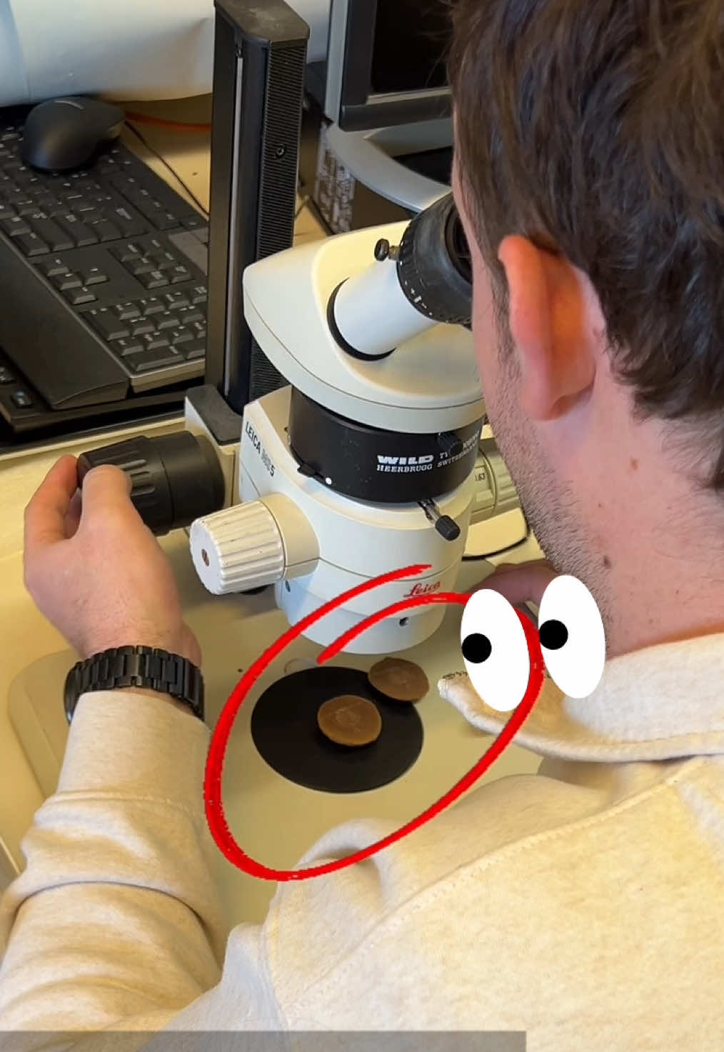 🦀🦴Paleontology news: Recent research led by Museum Postdoctoral Researcher Russell Bicknell sheds light on gregarious behaviors in Carboniferous cyclidan crustaceans, providing important insights into these animals’ life in the ancient ocean.  #stem #NaturalHistory #fossils #paleontology #MuseumTok 