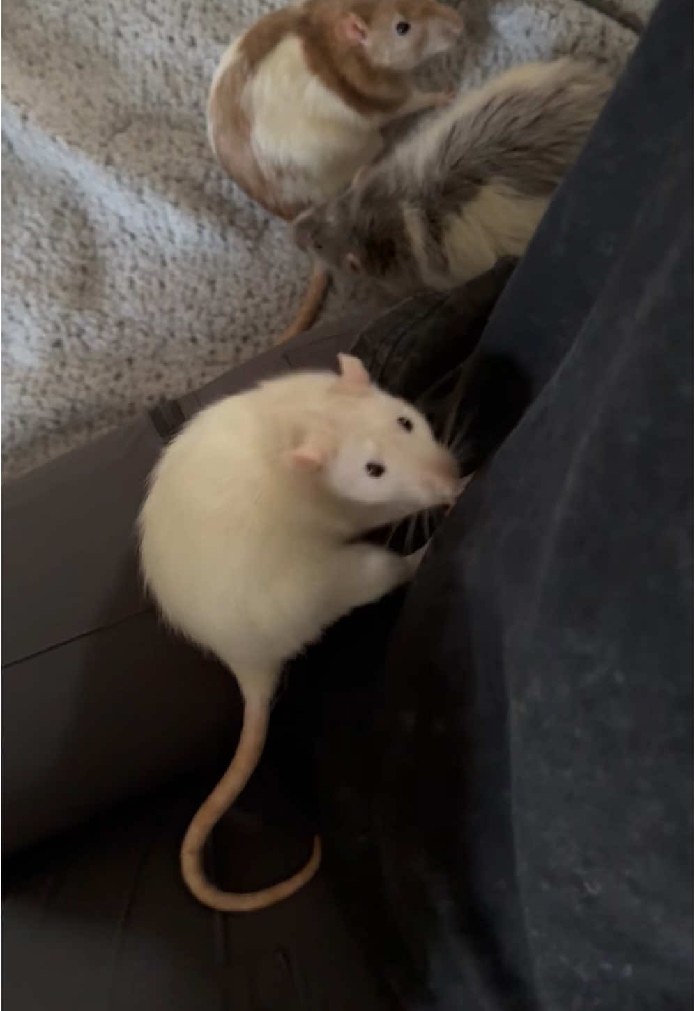 !!!