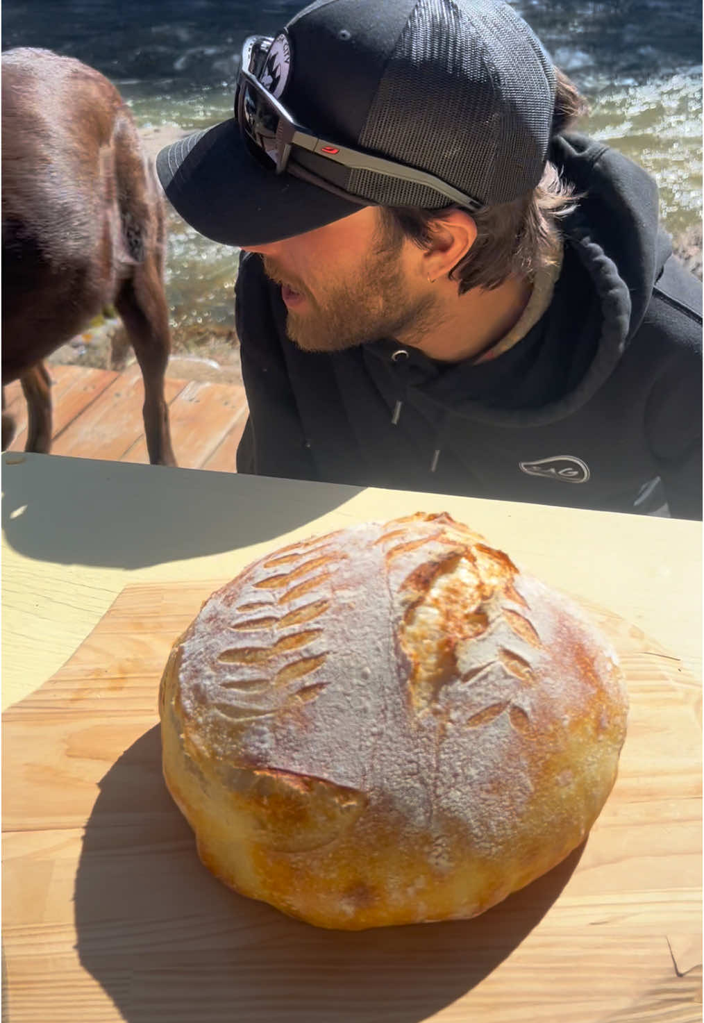He’s a sourdough natural 🥺 using the @Ballerina Farm Store Sourdough Kit and their Bread Bow Knife! #sourdough #sourdough #ballerinafarm #baking #cabin #homesteading #family #slowliving 