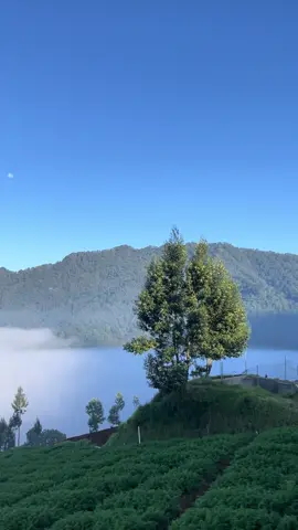 🫀⛰️☁️🍃