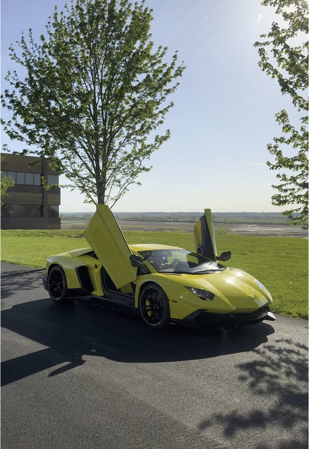 50th Anniversary Aventador 🤩 | #viral #lamborghini #v12 #fyp #aventador #cartok #trending #carculture #carscene #money #carsoftiktok #carhub #engine #supercar #caredit #viralvideo #blowthisup #luxury #rich 