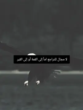 #fyp  -#fouryou  -#foryoupage   #fypツ  -#vira 