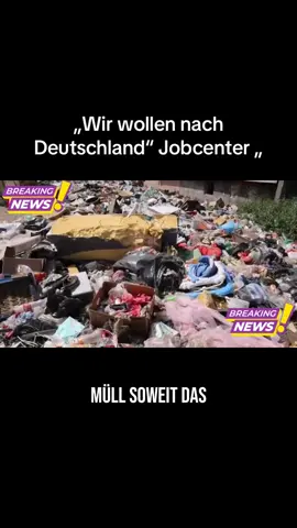 Wir wollen nach Deutschland #viral 