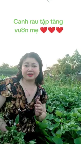 mến chúc cả nhà Tiktoc ngày mới vui vẻ nhé @Thị Hồng Phan @Phan Thị Hồng@VMT  @nguyễn văn Thạnh 