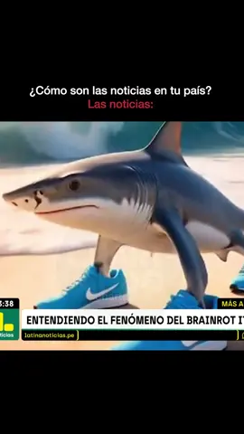 Periodismo de calidad 👌🏼 #paratii #videoviral #viralperu #memesperu #perumemes #🇵🇪 #brainrotmemes 