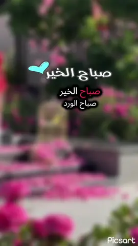 #صباح #الخير #صباحكم #سعادة وراحة بال #صباح_الخير #صباح_الورد  #صباحكم_سعادة_لاتنتهي #صباحكم_أحلى_صباح #صباحيات_جميلة #صباح #اليوم  #ترندات_تيك_توك #صباحيات  #لايكات #اكسبلور @⋆.˚🦋༘⋆𑁍ࠬܓ 