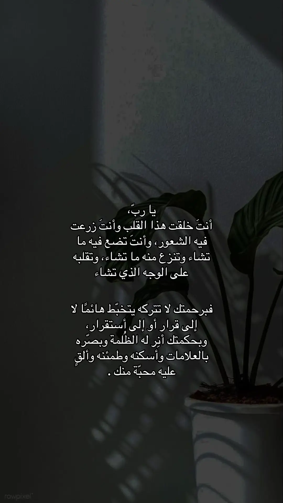#fypシ #foryourpage #اقتباسات #سنايا 