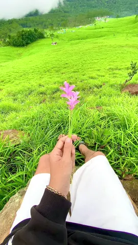 តើនេះជាឋានសួគ៌មែនទេ#ខ្នងផ្សារ #viral #nature #tiktok 🌱🌷 #fyp #tranding 