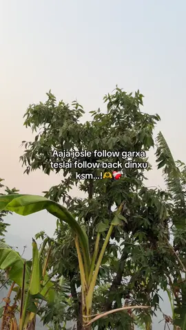 #relatable #fyp #foryou #rawal🥷 #foryoupage #tiktoknepal 