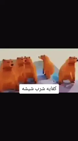 كفايه شرب شيشه #fyp #tiktok #foryou #foryoupage #creatorsearchinsights #BMW 