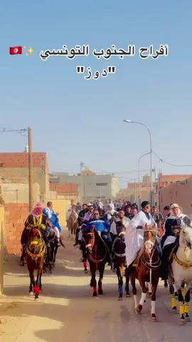 #ماشاءالله_تبارك_الله #اللهم_صلي_على_نبينا_محمد #تونس #تونس🇹🇳 #فارس #خيل_وخياله🐎 #خيول_عربية_اصيلة #مهرجان_دوز_الدولي_لصحراء #افراح #اعراس_تونسية #الجنوب 