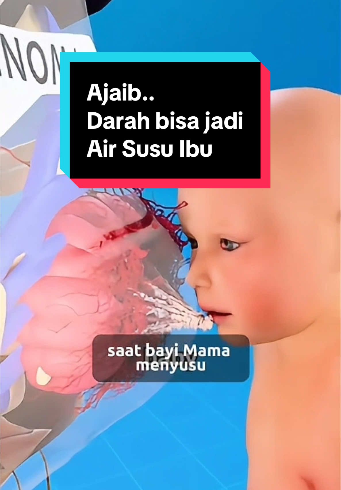 Sungguh luar biasa ciptaanNya✨ [👇Perlu diketahui oleh Ibu Menyusui ] Makanan dan air yang Mama konsumsi tidak langsung berubah menjadi #ASI. Semua yang Mama makan dan minum pertama-tama akan melewati pencernaan, dimana tubuh Mama memecah nutrisi dalam perut dan usus sebelum menyerapnya ke dalam aliran darah Mama. Sistem pencernaan memproses makanan menjadi molekul kecil seperti gula sederhana, asam amino, lemak, dan protein yang kemudian dibawa oleh darah Mama ke seluruh tubuh. Ketika darah mengalir melewati PD, kelenjar penghasil ASI menyerap nutrisi untuk menghasilkan ASI, meskipun tidak semua molekul dapat melewatinya. Inilah sebabnya mengapa beberapa obat aman dikonsumsi saat menyusui dan yang lainnya tidak. Obat dengan berat molekul yang lebih besar tidak dapat masuk ke dalam ASI, sementara yang lebih kecil lebih mudah masuk ke dalam ASI.  Baik protein nabati (dari kacang-kacangan, biji-bijian) dan protein hewani (dari daging dan susu) melewati aliran darah dan dapat masuk ke dalam ASI.  Terkadang, protein tertentu dapat mengiritasi sistem pencernaan bayi, menyebabkan gejala seperti kembung, refluks, kolik, atau BAB berlendir dan berdarah. Protein susu adalah penyebab yang paling umum, tapi alergi terhadap komponen dalam ASI jarang terjadi. Penting untuk diingat, bahwa bayi rewel dan bergas saja tidak selalu menandakan alergi protein susu sapi. Secara umum, tidak perlu menghilangkan makanan tertentu saat menyusui. Tapi jika bayi Mama secara konsisten bereaksi terhadap makanan tertentu, Mama dapat mengurangi atau berhenti sementara makan makanan tersebut. Setiap bayi berbeda dan sensitivitas mereka dapat bervariasi. Jadi amati bayi Mama masing-masing di rumah yaa💕 Mama butuh dukungan #menyusui ? Klik link di Bio untuk konsultasi langsung✨ #konselormenyusui #konselorlaktasi SHARE info ini ke #busui #ibumenyusui lainnya dan FOLLOW @patriciasowita untuk tau info seputar menyusui, MPASI, dan pijat bayi