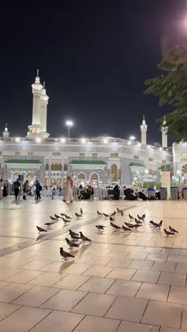 الحرم الآن ♥️ #الكعبه_المشرفه🕋 #الحرم_المكي #مكة_المكرمة #اكسبلورexplore❥🕊 #الان #الحرمين_الشريفين #اكسبلور #مكه_المكرمه #الحرم #صباحكم_سعادهـ🌸🍃 #صباح_البشارات_الجميلة #صباح_الخير