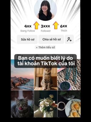 Phát triển TikTok của bạn ngay hôm nay!
