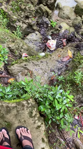 seindah itu ciptaan mu tuhan🥺 #curugcikaso #sukabumiexplore #masukberanda #fypシ゚ 