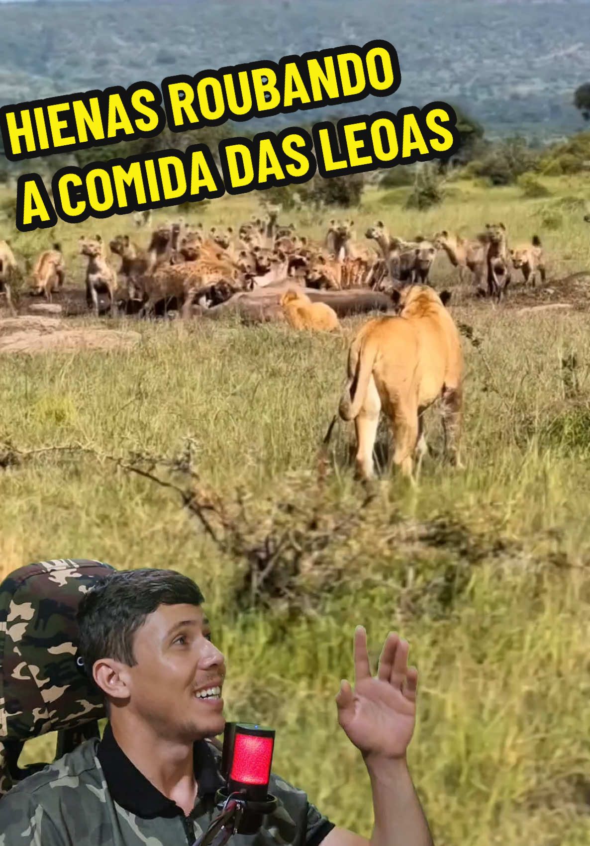Um enorme grupo de hienas roubou a caça que duas leoas haviam abatido. Sem chances contra a maioria, elas apenas observavam de longe enquanto as inimigas devoravam sua comida. Mas então, o rei da selva apareceu — e só a sua presença foi suficiente para afastar todas as hienas. A natureza é implacável. #VidaAnimalComentada #wendecrispimflix #animais #wendecrispim 
