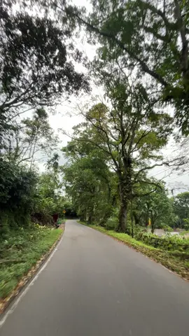 📍Tugu Perjuangan, Lubuk Sikaping #fyppppppppppppppppppppppp #fypシ゚ #fyp #sumbar #sumbartiktok #sumbarrancak #sumaterabarat #pasaman #lubuksikaping #lubuksikaping_pasaman #tuguperjuangan #jalan #jalanjalan #jalanan #hutan #asri #hijau #hutankota 