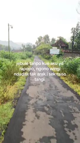 #wongliongertiopo #fyp #jowostory 