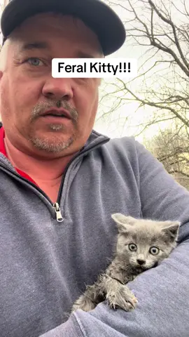 Baby kitten #wildlife #kitten #catdistributionsystem #animalrescue 