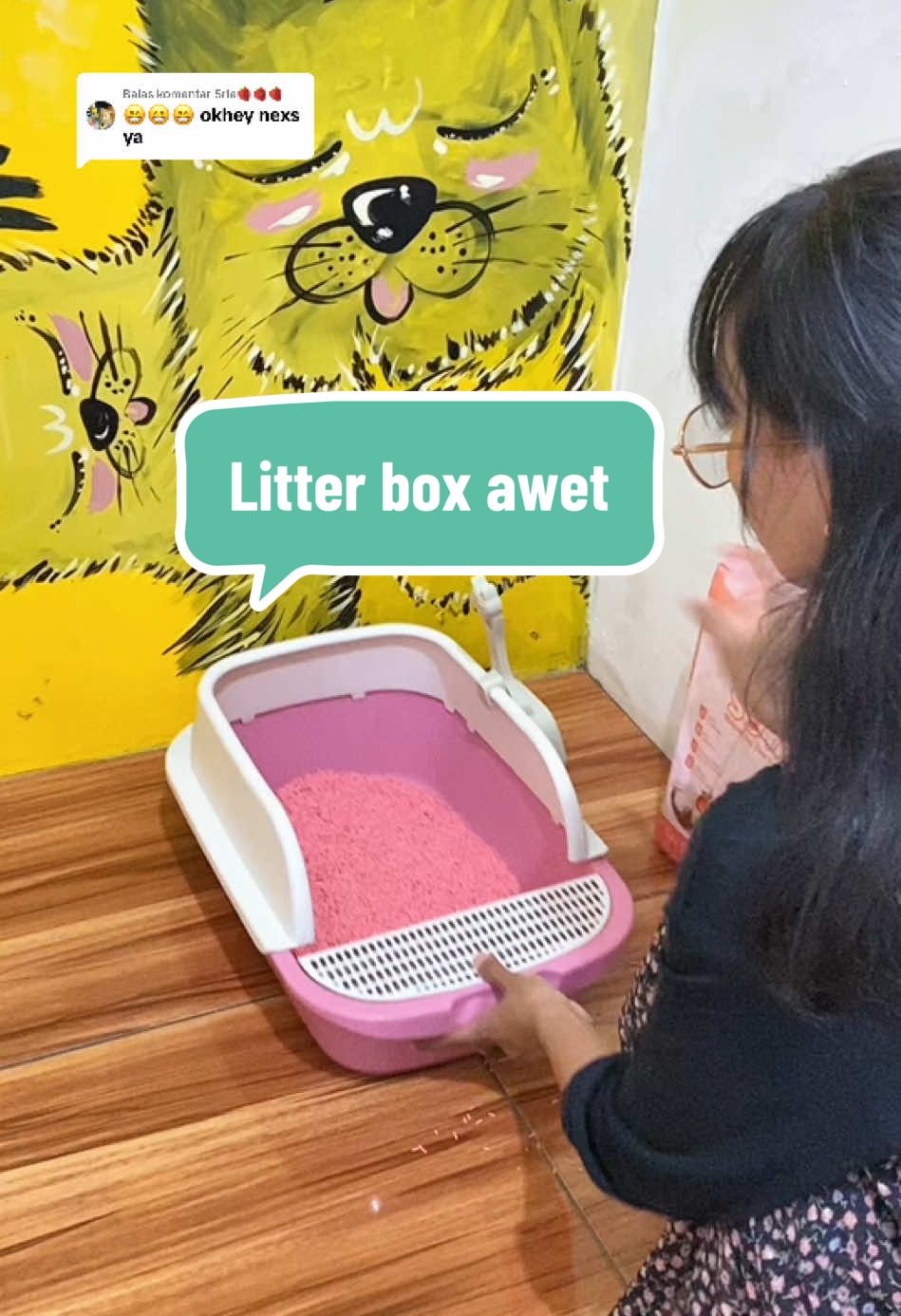 Membalas @Srie🍓🍓🍓 litter box awet ukuran kecil ke sedang yang bisa masuk kandang ini dari @focatofficialstore model m06 bahannya tebal dan kokoh pasti😻✨ #litterboxkucing #litterbox #litterboxmurah #focat 